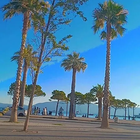 Seni's & Ola Vlorë